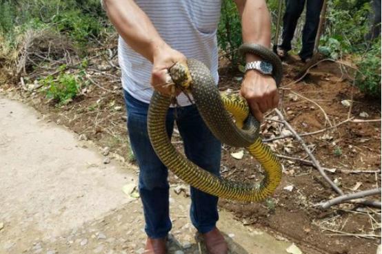 河南古韵悠长，探寻河南之韵的魅力