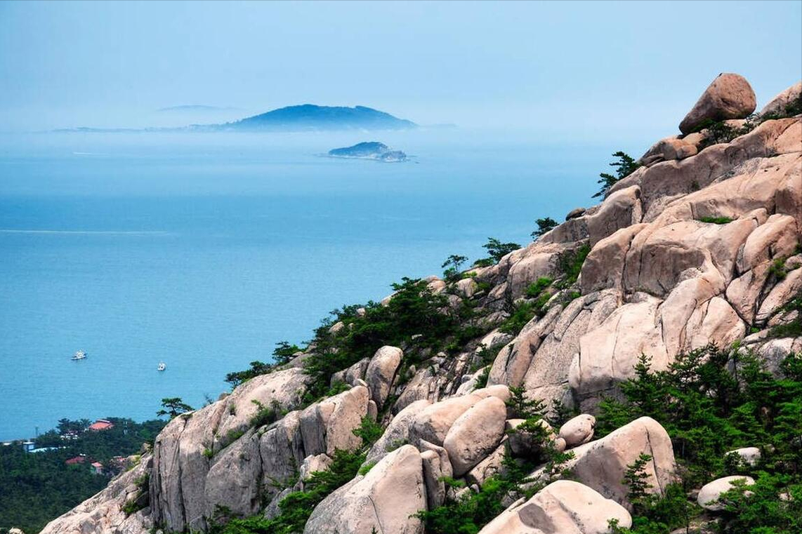 山东致敬,领导与同胞的深情汇聚