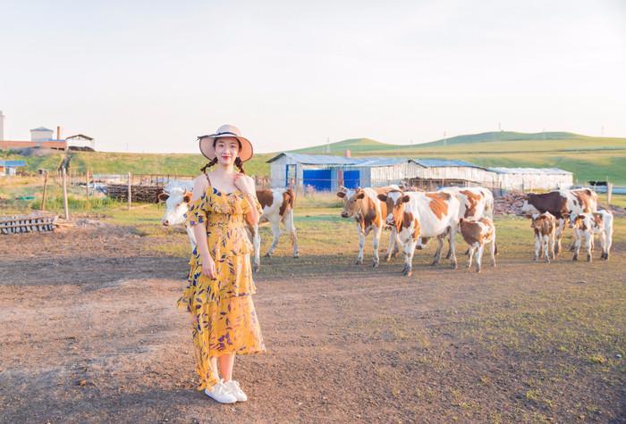 呼伦贝尔之行，深度体验与感悟分享